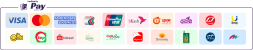 Pay-Station.png
